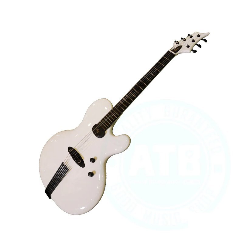 Jens Ritter Jens Ritter / Princess-Isabella 電吉他(2011年) — 三峽電吉他