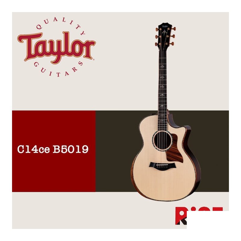 Taylor Custom C14ce B5019 GA #19-2025 木吉他 — 三峽吉他 / Bass