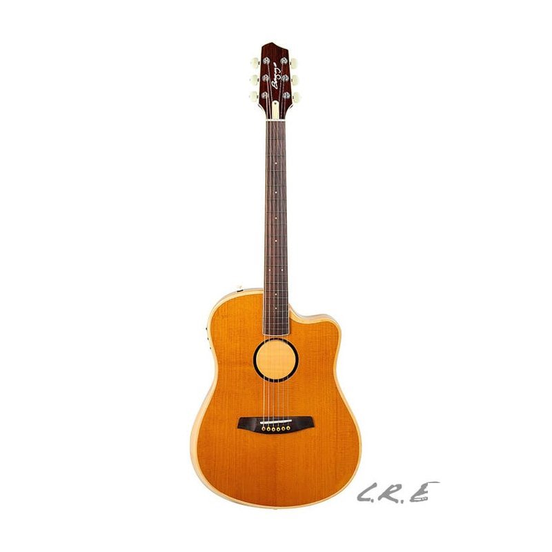 L.R. Baggs AEG-1 Torrefied Spruce Top 雲杉面板 電木吉他 — 三峽吉他 / Bass