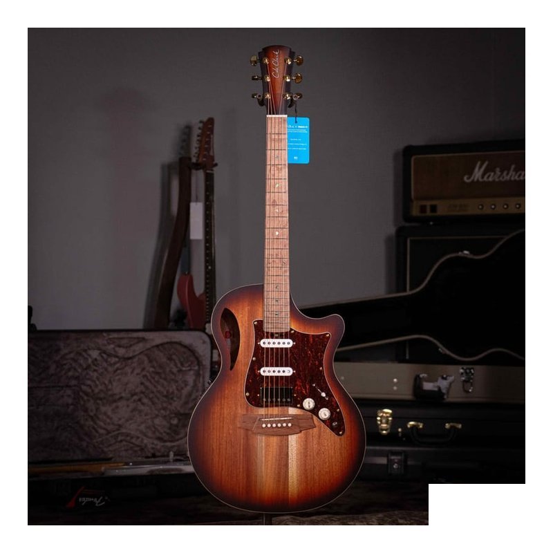 Cole Clark TL2EC BLBL-HSS-SUN 澳洲精品吉他 空心吉他 — 三峽木吉他 / 民謠吉他