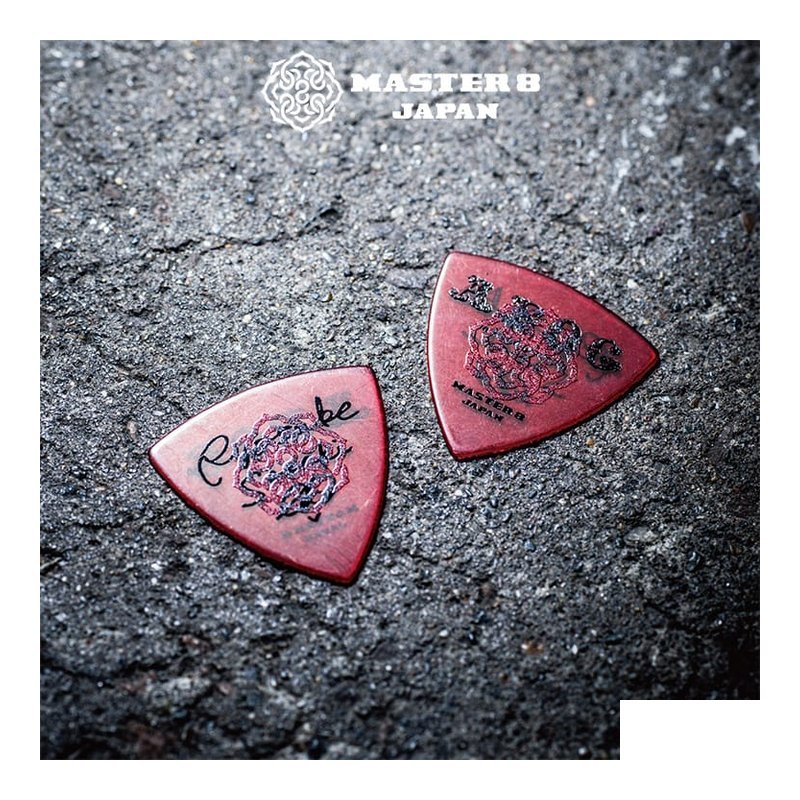 ä½ã 木 亮介 簽名款 Master 8 Japan『A Flood Of Circle』彈片 — 三峽配件 / 週邊