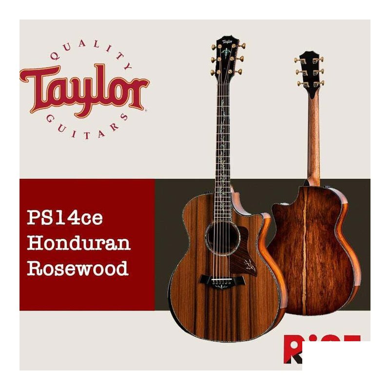 Taylor PS14ce Honduran Rosewood 沈水？ 木面板 全單板 木吉他 — 三峽吉他 / Bass