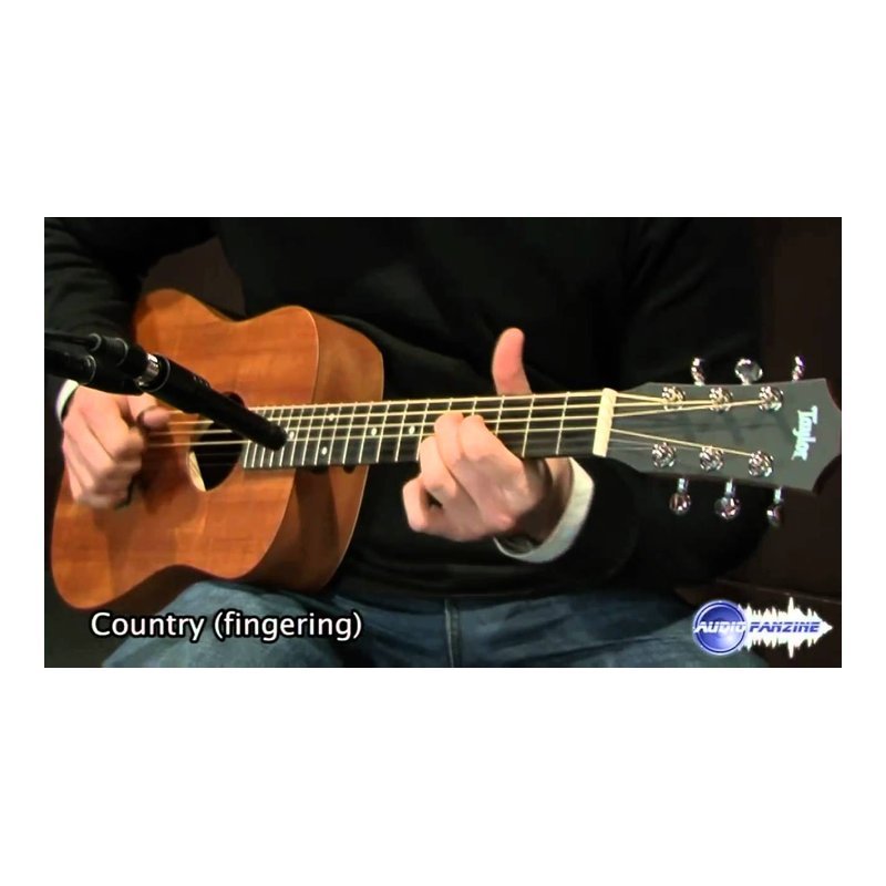 Taylor Baby Taylor BT2 | BT2 E 面單板 æ 行吉他 æ°è¬ 吉他 — 三峽吉他 / Bass