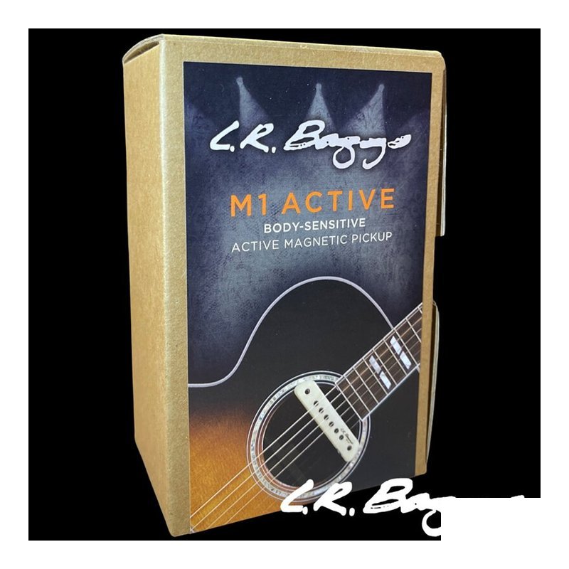 公司貨 L.R. Baggs M1 ACTIVE 木吉他 音孔主動式 拾音器 可收打板 三年保固 — 三峽吉他 / Bass