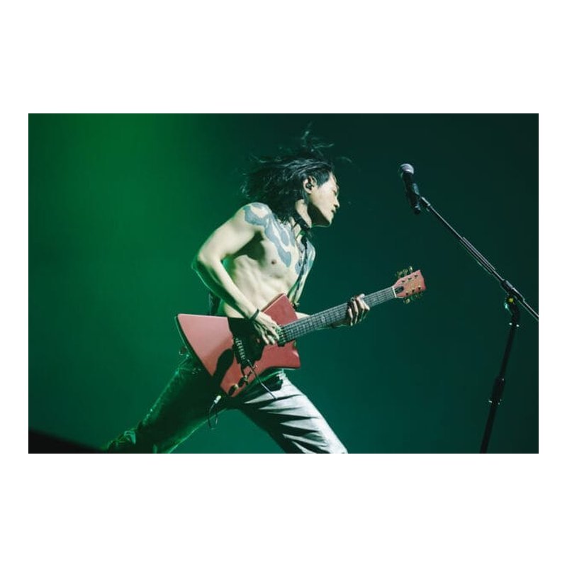 Queen.E Nova 2025 Luxury /Rose ??? 公司貨 — 三峽木吉他 / 民謠吉他
