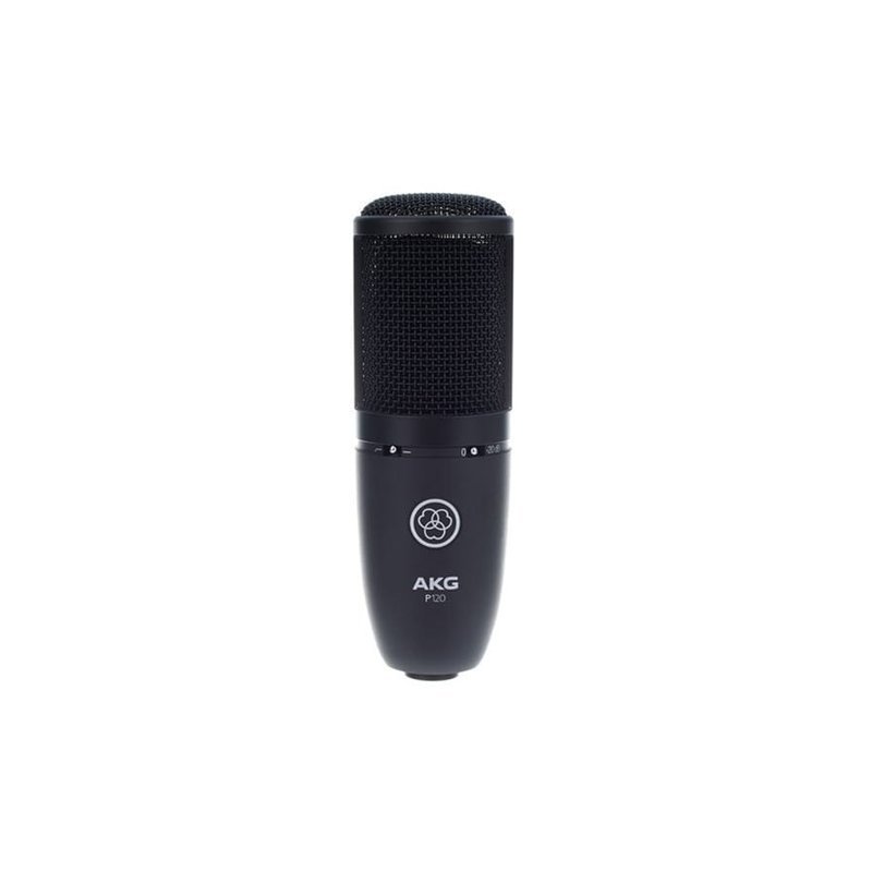 AKG AKG P120 多用途 經濟型 振膜電容麥克風 — 三峽配件 / 週邊