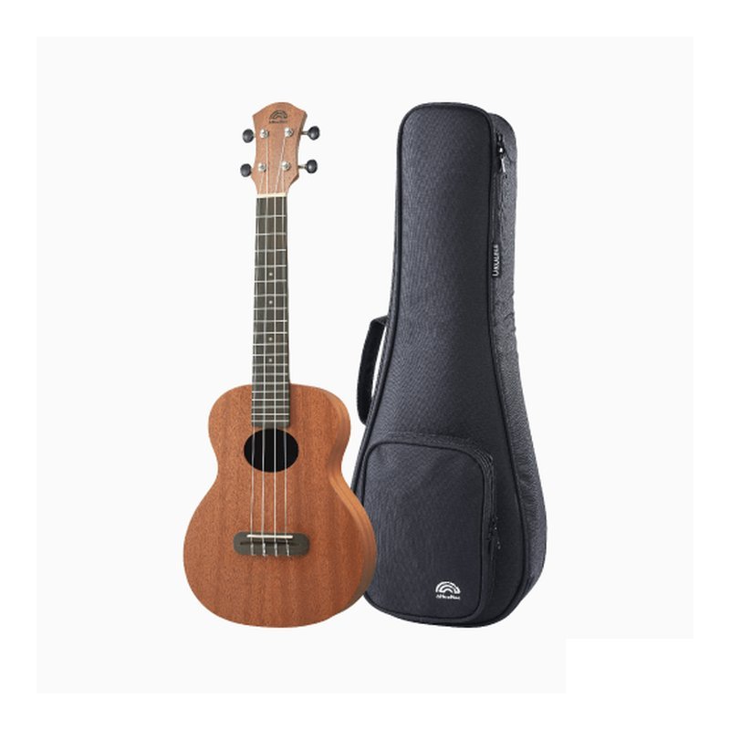 aNueNue B2 - 23????? 『合板』烏克麗麗 — 三峽配件 / 週邊