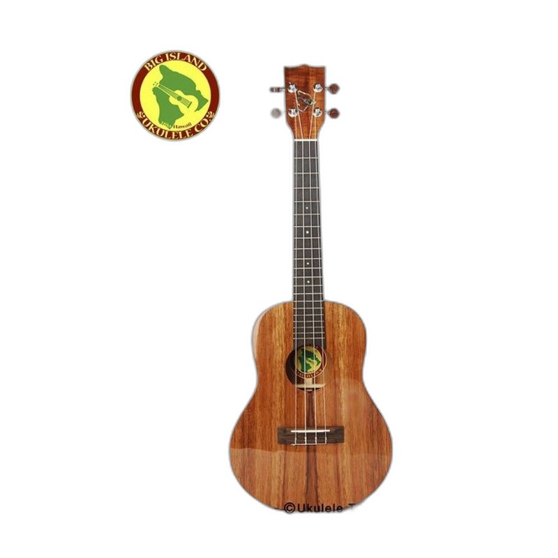 Openhagen SSU102BKTPU 烏克麗麗展示架 — 三峽烏克麗麗｜YA! 玩音樂