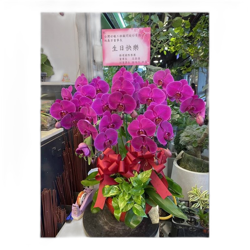 生日快樂歌 蝴蝶結 拉開蝴蝶結音樂立即響起 生日禮物包裝【SUCK UK】 — 三峽配件 / 週邊｜YA! 玩音樂