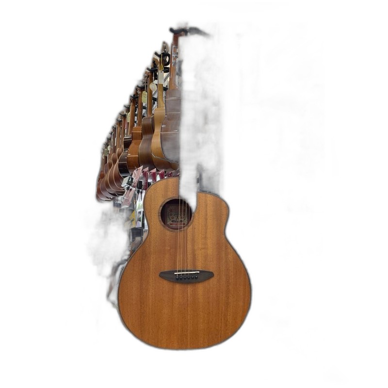 aNueNue aNueNue L20E Feather Bird 41吋 面單 民謠吉他 全桃花心木 — 三峽吉他 / Bass｜YA! 玩音樂