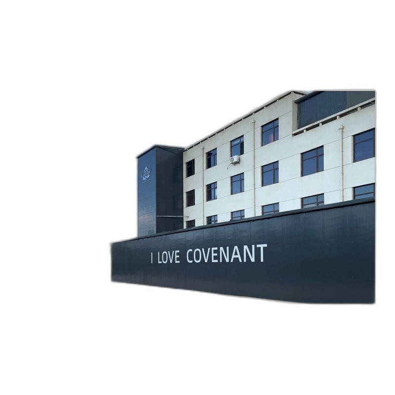 Covenant Covenant 100D 民謠吉他 — 三峽吉他 / Bass｜YA! 玩音樂