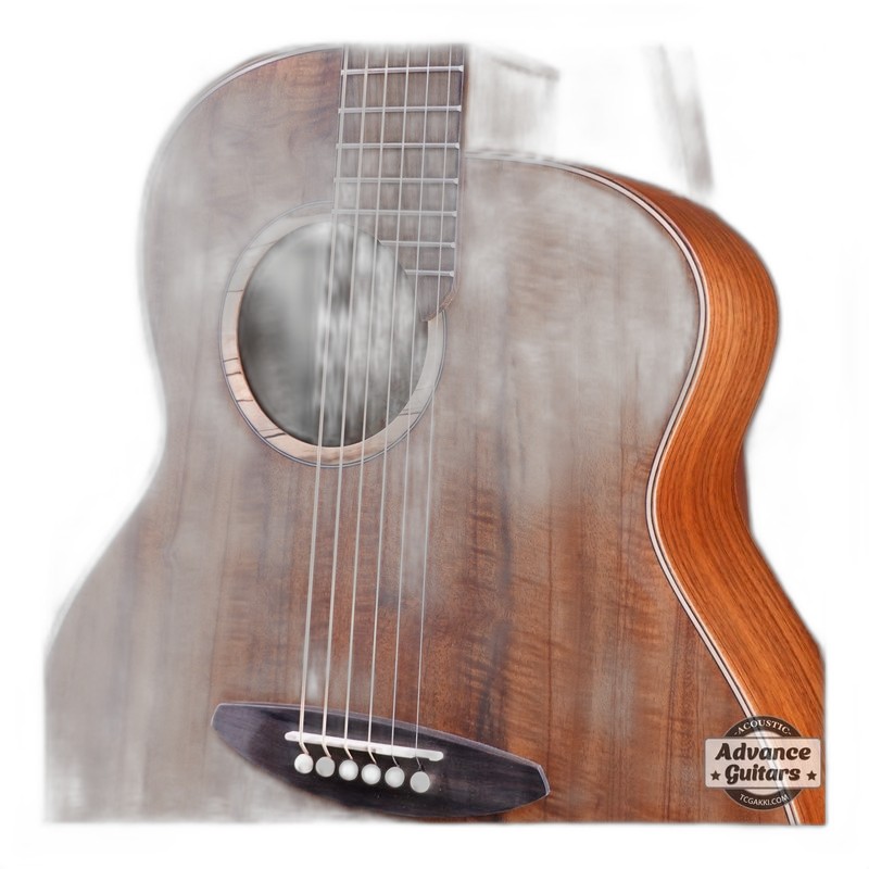 aNueNue aNueNue aNN-GP 吉他保護貼 — 三峽吉他 / Bass