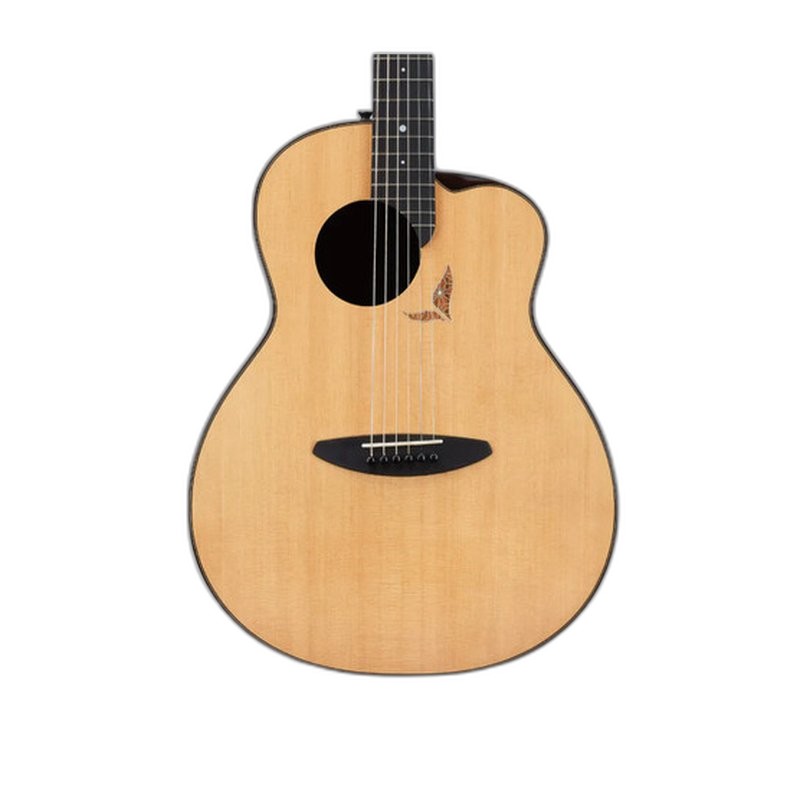 aNueNue aNueNue BLHC 41吋 鳥吉他 藍色木製吉他硬盒 — 三峽吉他 / Bass｜YA! 玩音樂