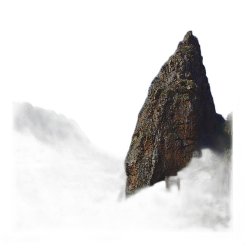 Gomera Gomera GC-12S 39吋 全單 古典吉他 英格曼雲杉面板 玫瑰木背側 — 三峽吉他 / Bass｜YA! 玩音樂