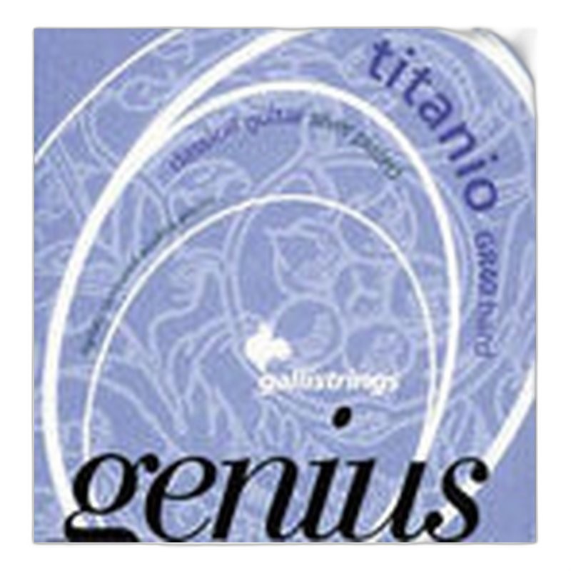 Galli GR40 Titanio 頂級鈦合金 - 高張力 — 三峽配件 / 週邊｜YA! 玩音樂