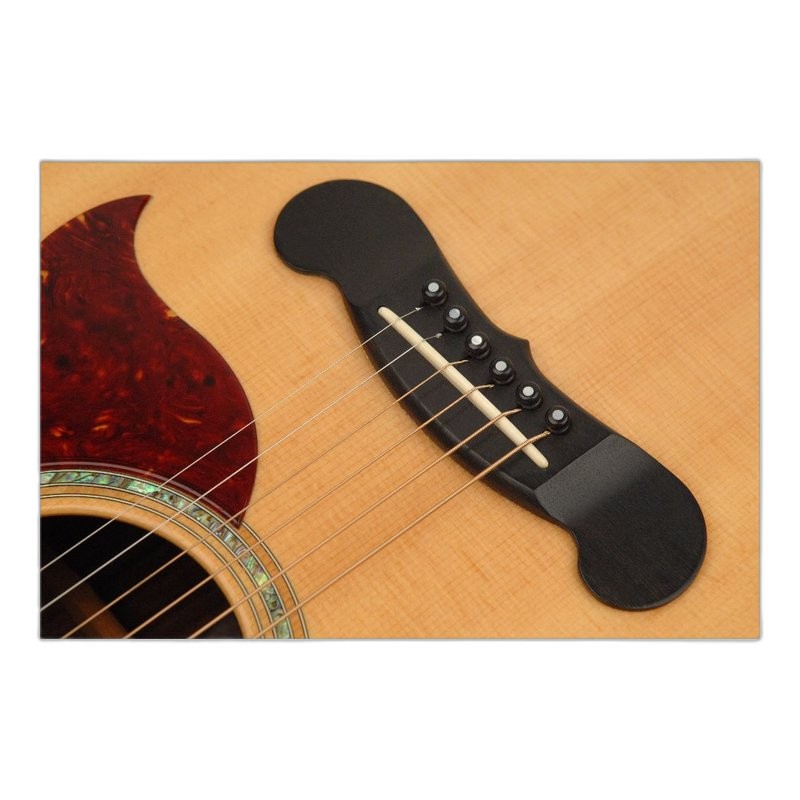 D’Addario Planet Waves PWPS3 黑檀木弦釘(珍珠貝點) + 背帶釘 — 三峽配件 / 週邊