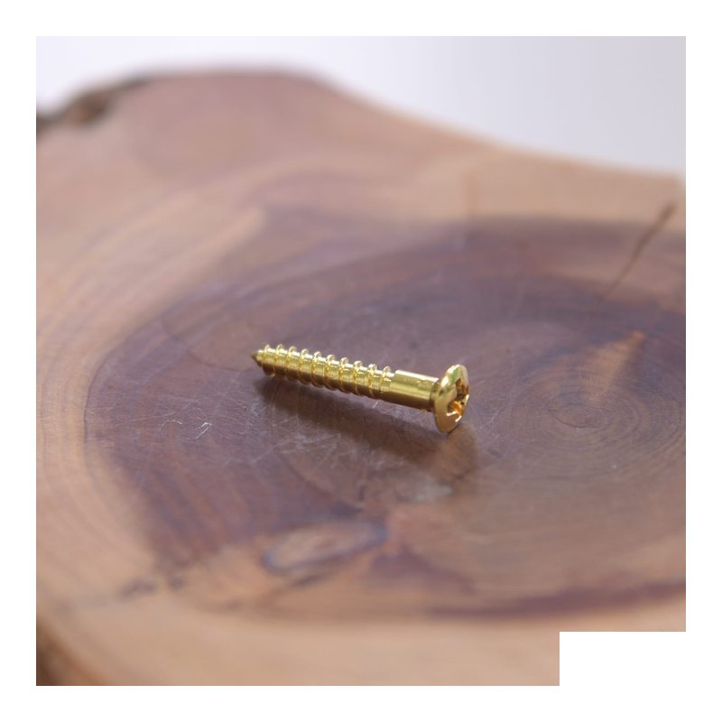 日本進口 渡邊商店 #24-16-OVAL木螺絲 黃？ 橢圓酭 2.4x16(100pcs) — 三峽配件 / 週邊