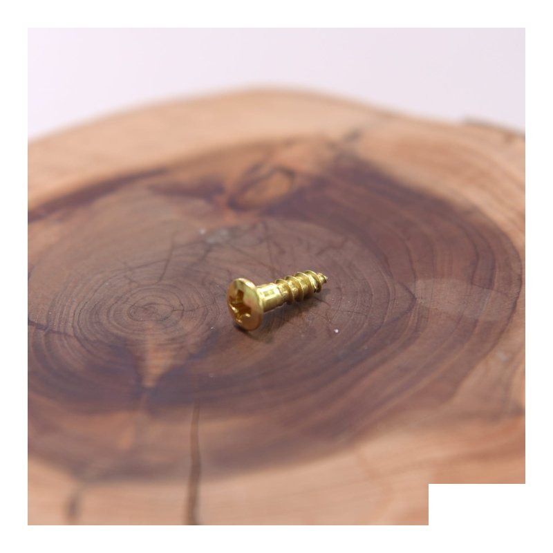 日本進口 渡邊商店 #24-10-OVAL 木螺絲 黃？ 橢圓酭 2.4x10(100pcs) — 三峽配件 / 週邊