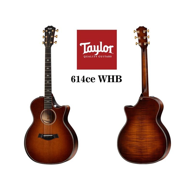 Taylor 614ce WHB Builder's Edition木吉他 — 三峽吉他 / Bass