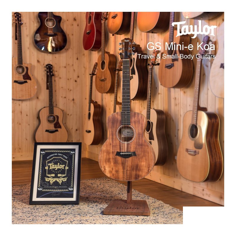 Taylor GS mini-e Koa 電木吉他 GS-MINI-E-KOA — 三峽吉他 / Bass