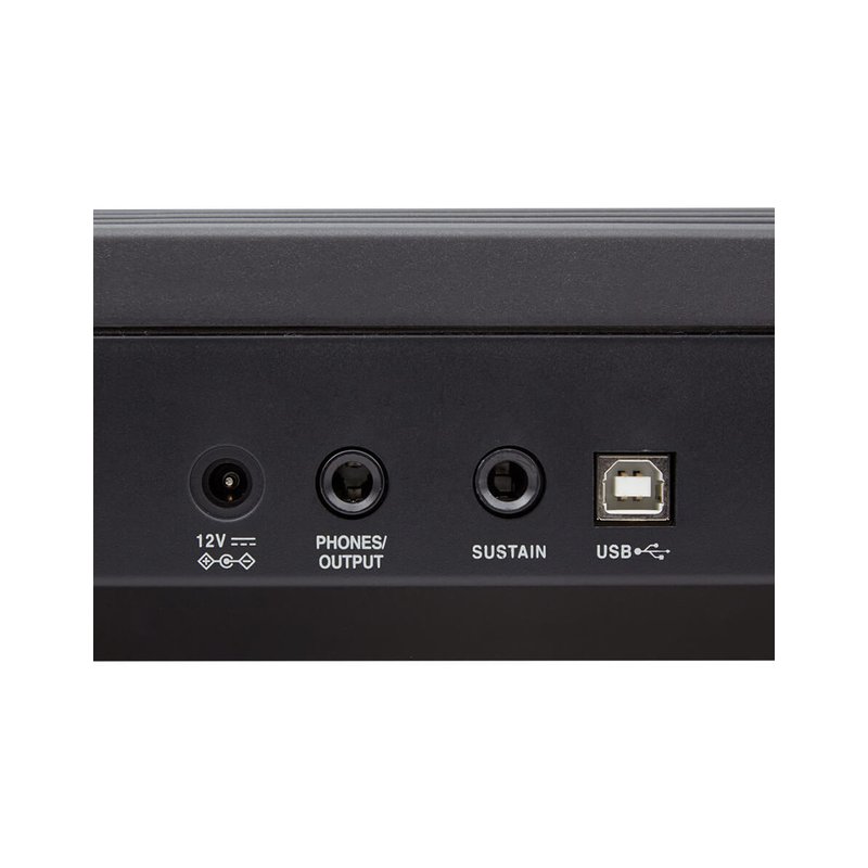 Roland Roland 樂蘭 GO:PIANO GO-88P 88鍵 輕便型電鋼琴 可攜式電鋼琴 — 三峽電鋼琴 / 鍵盤