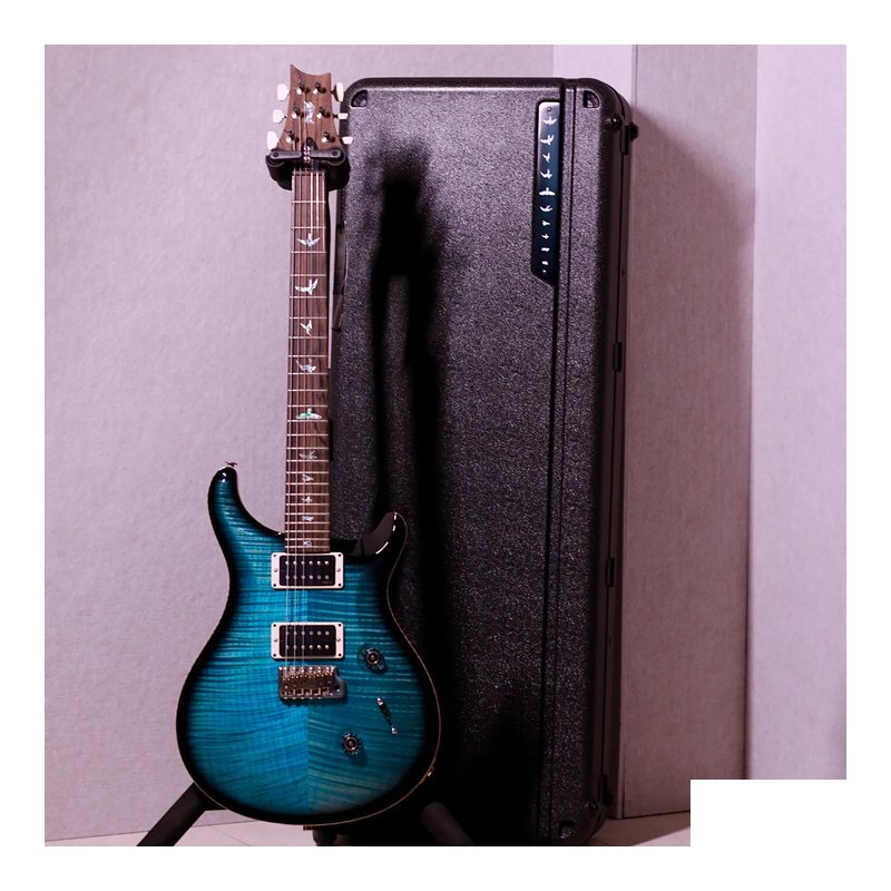 PRS PRS 40TH Anniversary Custom 24 Limited - Sub Zero Smoke Burst — 三峽配件 / 週邊