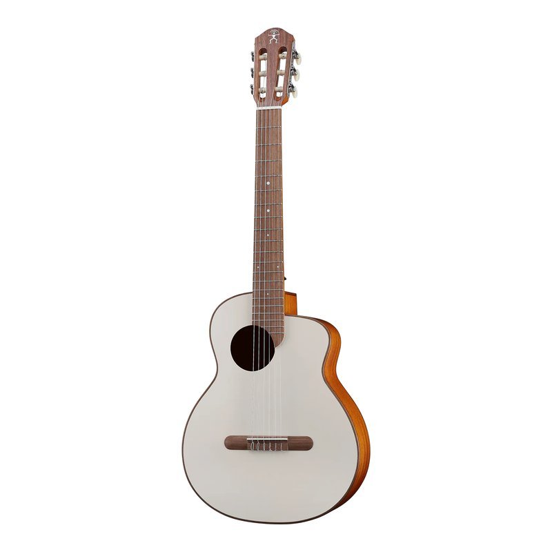 aNueNue aNueNue 色彩系列 MCN10-WG 旅行吉他 溫潤灰 面單板 — 三峽吉他 / Bass