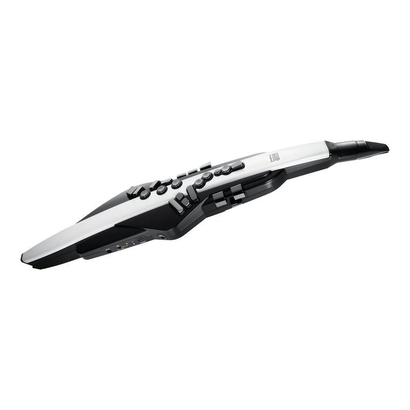 Roland Roland Aerophone AE-20 數位吹管 — 三峽弦樂器