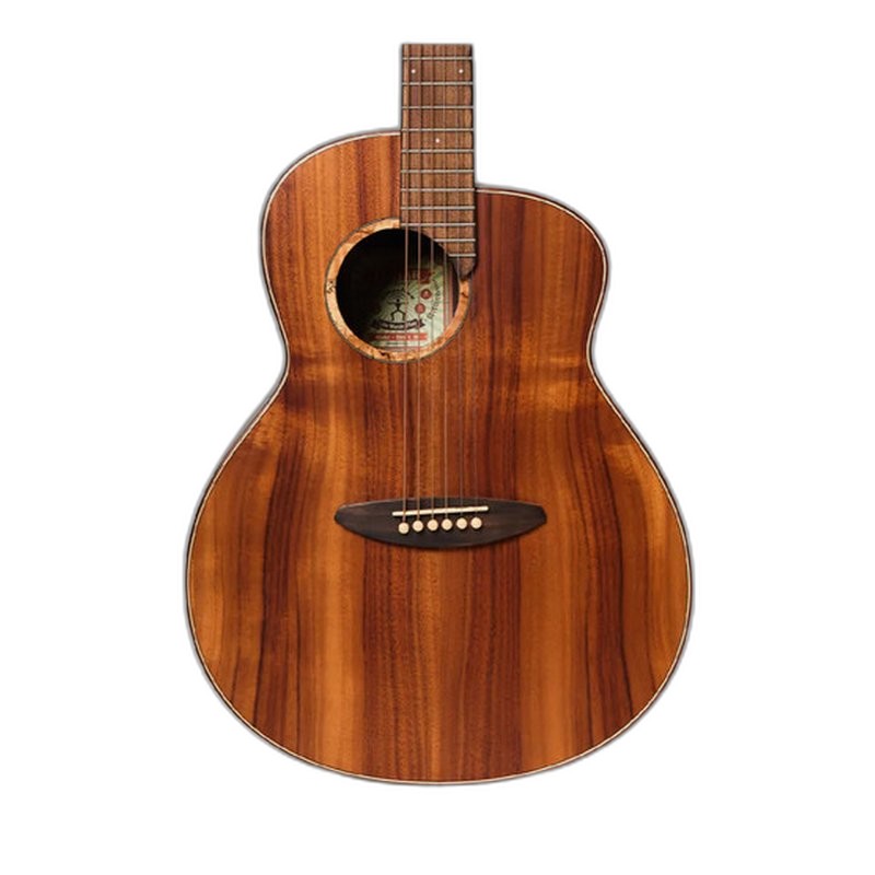 aNueNue aNueNue L30 L30E 羽毛鳥系列 台灣相思木 面單 41吋 民謠木吉他 — 三峽吉他 / Bass｜YA! 玩音樂