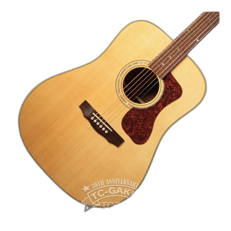 Guild GUILD D-250C 面單板 木吉他 民謠吉他 — 三峽吉他 / Bass｜YA! 玩音樂