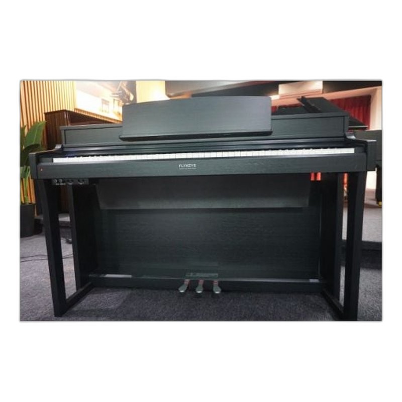 Flykeys FLYKEYS M2 61鍵 輕便型電鋼琴 單主機款 黑色 — 三峽鍵盤 / 鋼琴
