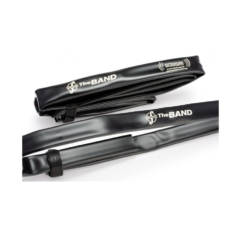 Headway Headway / The Band 小提琴拾音器 — 三峽弦樂器