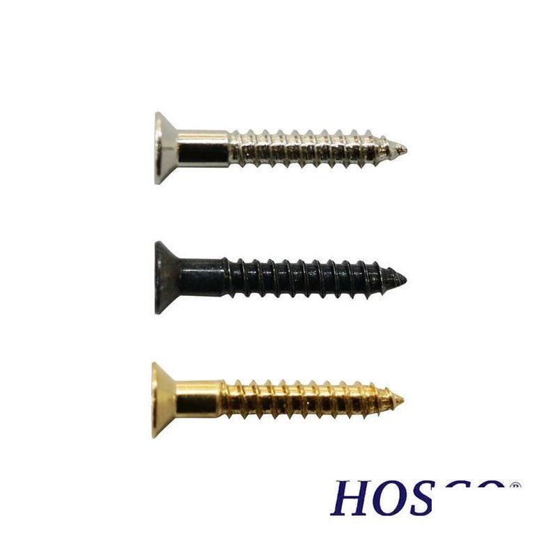 HOSCO HOSCO PSH09 拾音器邊框 螺絲 — 三峽配件 / 週邊