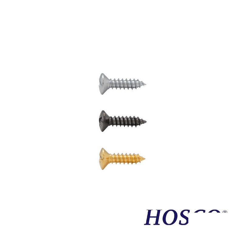 HOSCO HOSCO TS-01 護板 螺絲 — 三峽配件 / 週邊